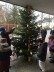 Tannenbaum auf dem Schulhof wird von einer Frau und Kindern mit selbstgebastelten Christbaumkugeln geschmückt.